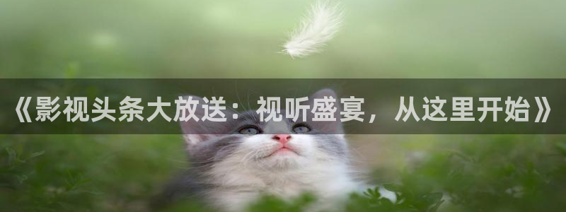 第九区国语高清免费播放：《影视头条大放送：视听盛宴，从这里开始》