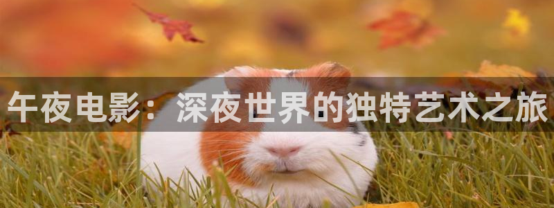 神马影院第九哒哒兔：午夜电影：深夜世界的独特艺术之旅