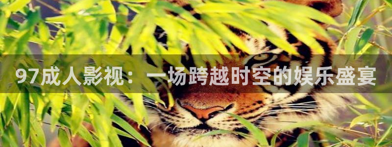 第九新影院：97成人影视：一场跨越时空的娱乐盛宴