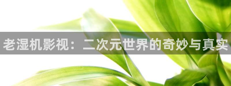 神马电影网第九超神影院：老湿机影视：二次元世界的奇妙与真实