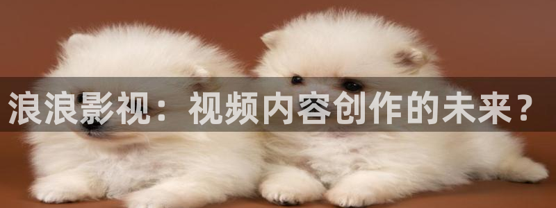 第九影院达达兔：浪浪影视：视频内容创作的未来？