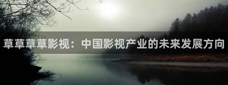 第九影院午夜理论影院915：草草草草影视：中国影视产业的未来发展方向