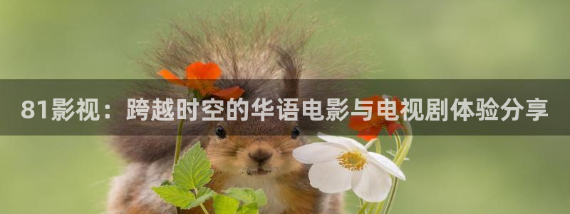 第九剧场：81影视：跨越时空的华语电影与电视剧体验分享