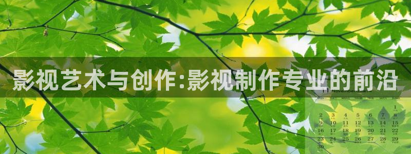 神影院第九9达达兔免费：影视艺术与创作:影视制作专业的前沿