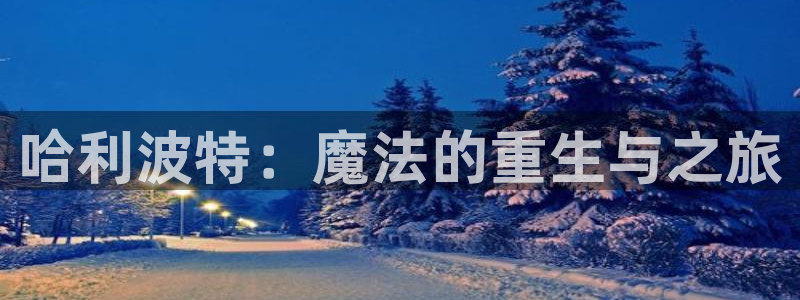 八戒影院第九：哈利波特：魔法的重生与之旅